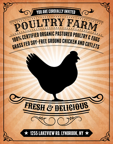 Poultry Farm on Grunge Background Poster vector