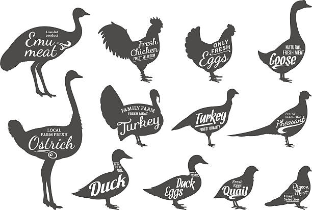 Poultry Silhouettes Collection, Butchery Labels Templates Set of butchery labels templates. Poultry icons with sample text. Poultry silhouettes collection for groceries, meat stores and advertising. Vector labels design. drake stock illustrations