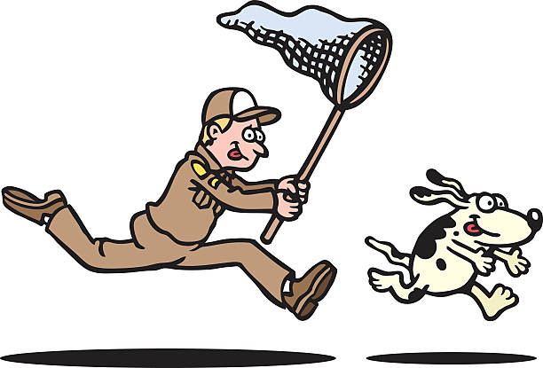 Pound A vector illustration of a city worker trying to catch a dog for the pound. dog catcher stock illustrations