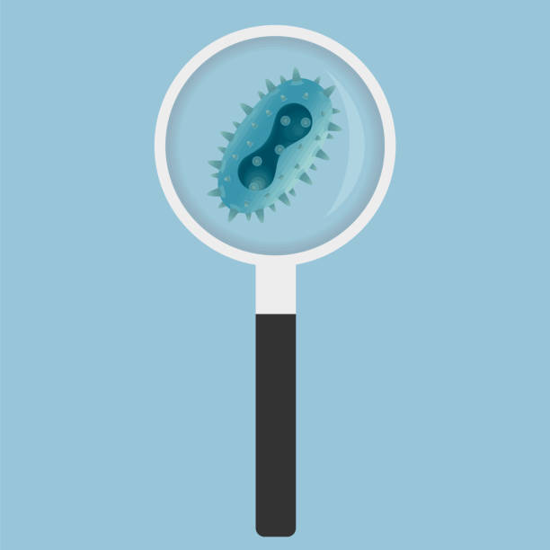 Pox or monkeypox virus cell in magnifier Macro pox or monkeypox virus cell under magnifying glass. Close-up molecule, bacteria, microbe. Medical research concept. Vector illustration of infectious disease, biological threat. monkeypox stock illustrations