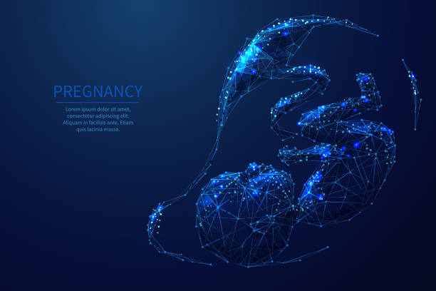 Pregnancy low poly wireframe illustration Pregnancy low poly wireframe illustration. Baby 3d model. Stage of pregnancy. Fetal and prenatal development. Polygonal space low poly with connected dots and polygon lines. Vector wireframe mesh baby pregnant backgrounds stock illustrations