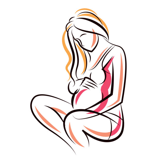 Pregnant female beautiful body outline, mother-to-be vector drawn illustration. Happiness and caring theme. Mothers day. Pregnant female beautiful body outline, mother-to-be vector drawn illustration. Happiness and caring theme. Mothers day. pregnant drawings stock illustrations