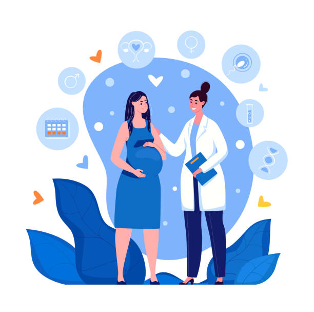 Pregnant woman and doctor Pregnant woman at the doctor's appointment. Maternity hospital, Maternal and perinatal health, Preservation of pregnancy. Vector. Illustration in flat cartoon style. pregnant stock illustrations