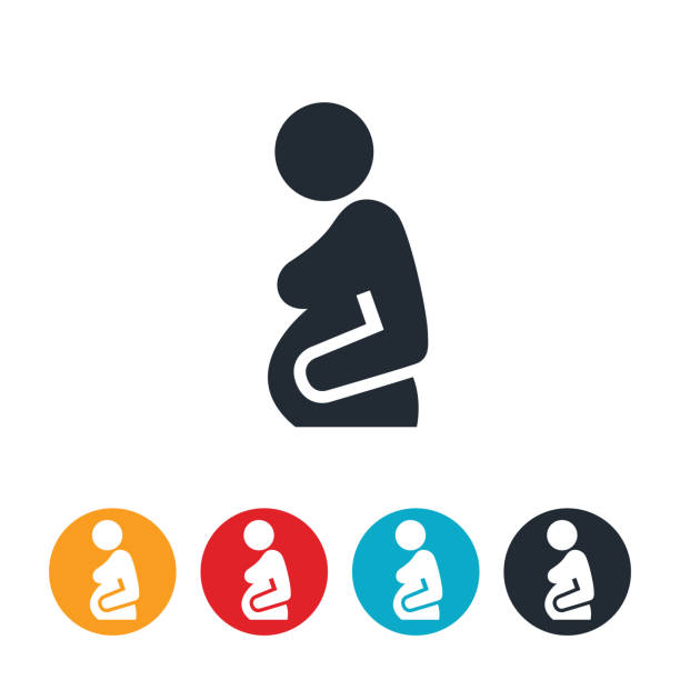 Pregnant Woman Icon An icon of a pregnant woman holding her stomach. pregnant icons stock illustrations