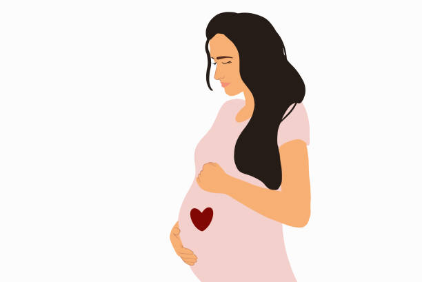 Pregnant woman on the background Vector illustration of a pregnant woman, touching her belly. Drawing in flat style on the color background pregnant drawings stock illustrations