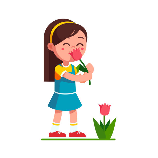 illustrations, cliparts, dessins animés et icônes de kid fille préscolaire tenant tulipe fleur sentant et appréciant l’odeur de l’arôme. dessin animé enfant personnage plat vector clipart illustration. - mockup vêtement enfants robe