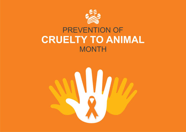 prevention of cruelty to animal month vector illustration is prevention of cruelty to animal month poster design international dog day stock illustrations