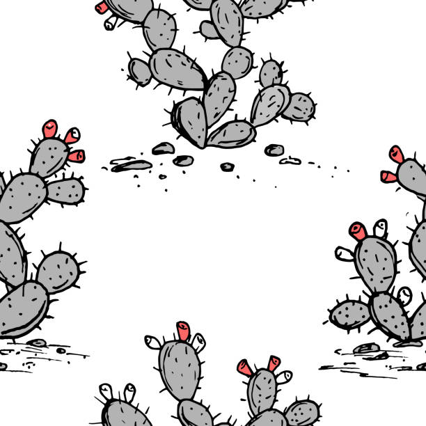 Download Prickly Pear Cactus Illustrations, Royalty-Free Vector Graphics & Clip Art - iStock