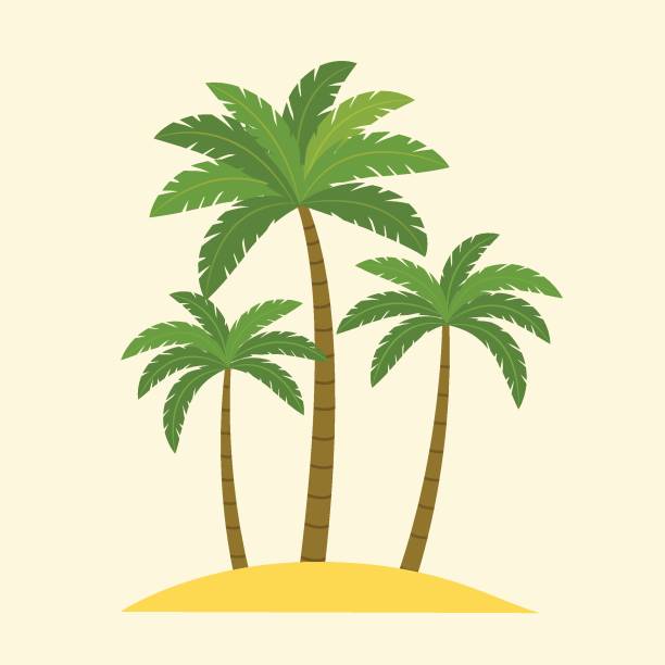 Print Palm trees isolated. Vector flat style illustration island stock illustrations
