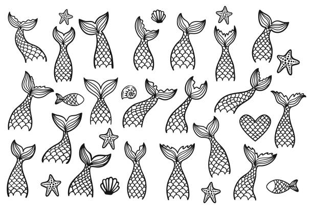 Print Set of mermaid tails, fishes, starfishes, shells silhouettes. Hand drawn contour marine elements. Vector illustrations isolated on white background. bedroom silhouettes stock illustrations