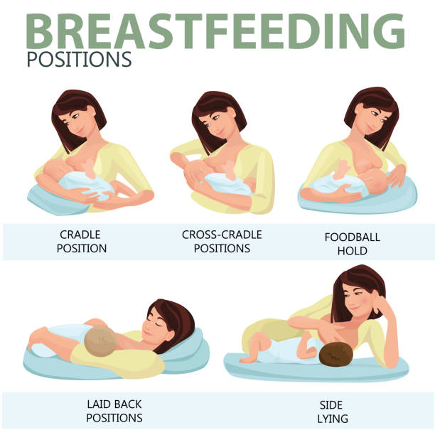 Print Breastfeeding position. Mother feeds baby with breast. Comfortable pose. Flat design illustration of breastfeeding concept. Colorful cartoon character mother feeding baby. Lactation and free breastfeeding template with illustration. breastfeeding stock illustrations