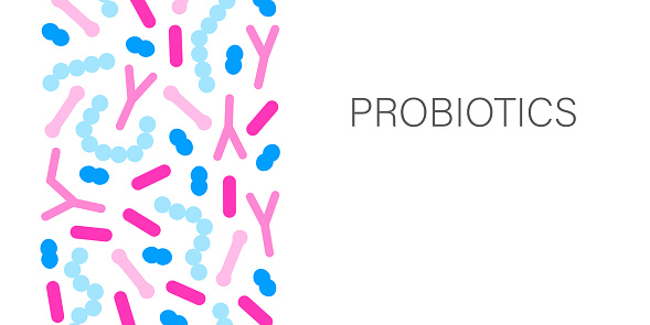 Probiotic bacteria banner. Gut microbiota border with healthy prebiotic bacillus. Lactobacillus, acidophilus, bifidobacteria and other microorganisms for biotechnology.