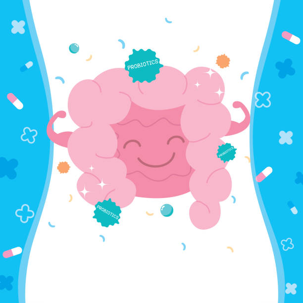 ilustrações de stock, clip art, desenhos animados e ícones de probiotic digestive - alimentos sistema imunitário