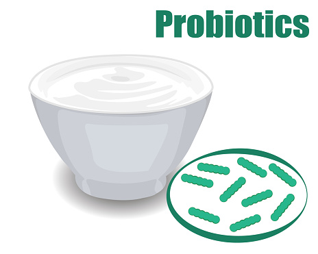 Yoghurt bacteria, Traducere Engleză-Kabyle :: yogurt :: Dicţionar Yoghurt bacteria