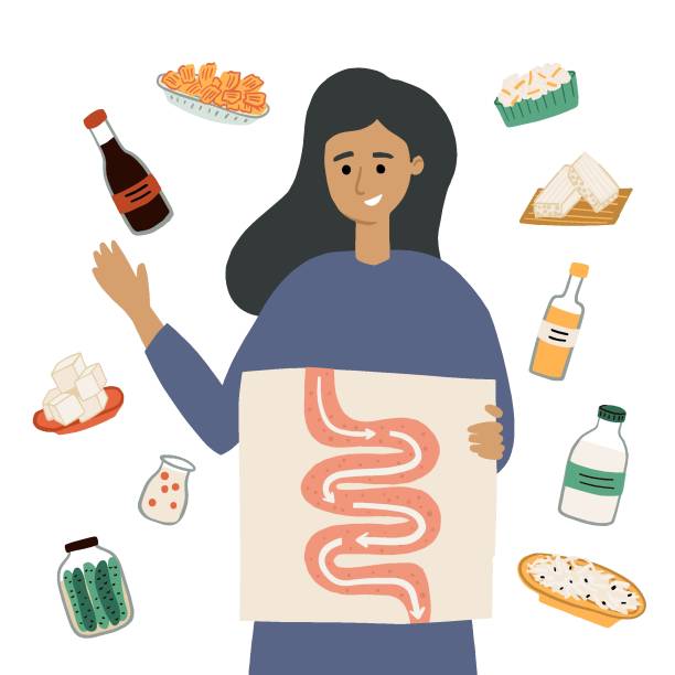 ilustrações de stock, clip art, desenhos animados e ícones de probiotics - boosting