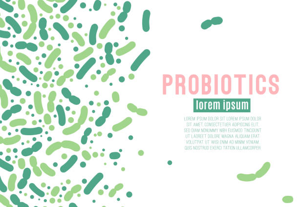 probiotika vektor poster - bakterie stock-grafiken, -clipart, -cartoons und -symbole