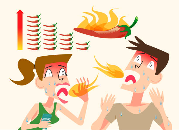 ソース画像を表示