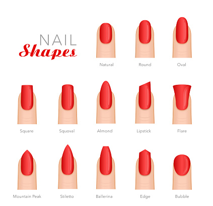 Professional Manicure Different Shapes Of Nails Vector Stock ...