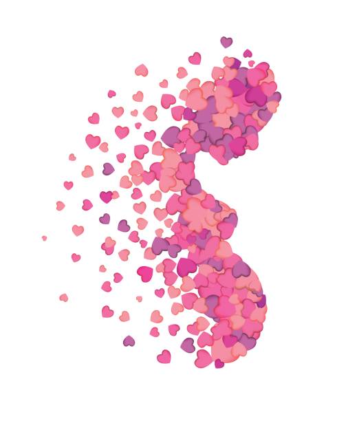 Profile of pregnant woman of hearts Profile of pregnant woman made of pink hearts pregnant silhouettes stock illustrations
