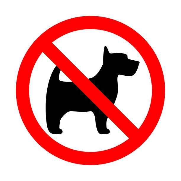 805 No Dogs Allowed Stock Photos, Pictures &amp; Royalty-Free Images - iStock