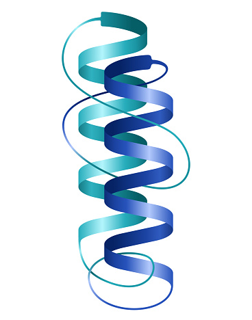 Protein structure - 2 spirals in 3D