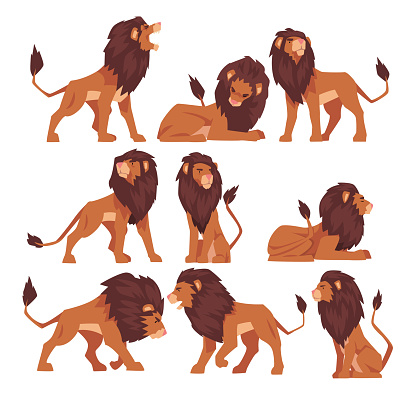 Proud Powerful Lion Collection, Mammal Wild Cat Jungle Animal in Various Poses Vector Illustration