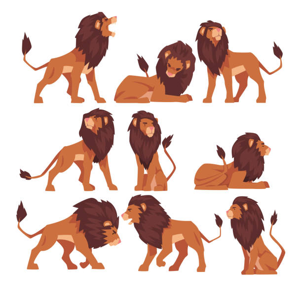 ilustrações de stock, clip art, desenhos animados e ícones de proud powerful lion collection, mammal wild cat jungle animal in various poses vector illustration - lion