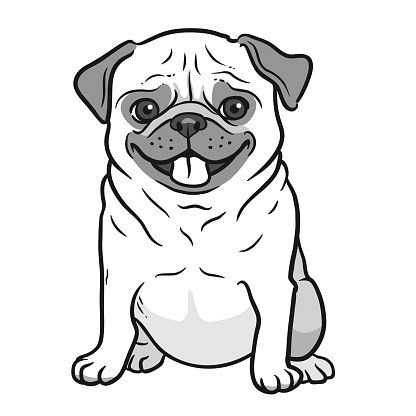 Ilustración de Retrato De Pug Perro Blanco Y Negro Dibujado A Mano