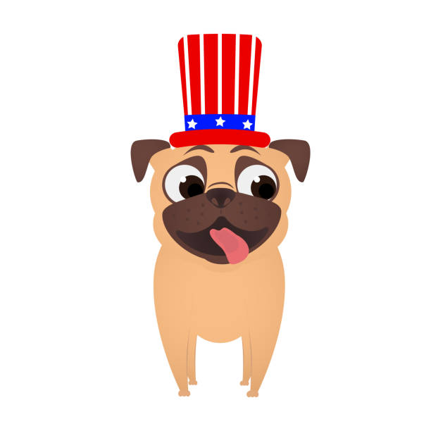 Pug in Uncle Sam hat.  4th of july patriotic independence day of USA. Cute dog in patriotic hat. Pug in Uncle Sam hat.  4th of july patriotic independence day of USA. Cute dog in patriotic hat. national dog day stock illustrations