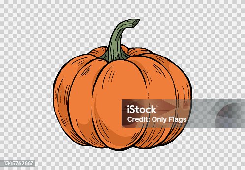 istock Pumpkin hand draw brush paint style isolated on jpg or transparent texture,Halloween party background ,element template for poster,online,vector illustration 1345762667