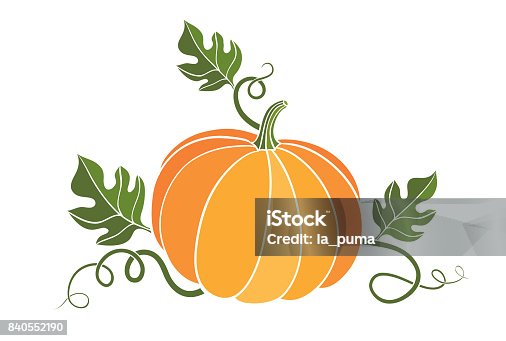 istock pumpkin. harvesting. natural food. colored vector illustration on white 840552190