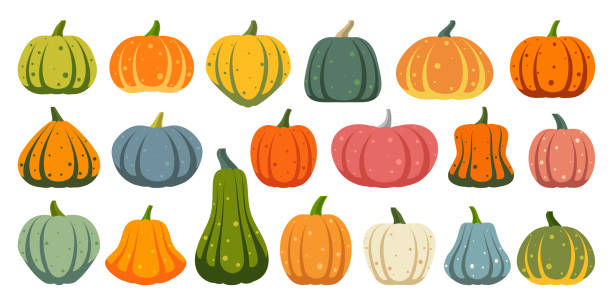 Pumpkin simple flat color icons vector set Pumpkin flat icons set. Sign kit of Halloween. Thanksgiving pictogram collection farm harvest, close-up squash, vegetable. Simple gourd cartoon color icon symbol isolated on white. Vector Illustration squash vegetable stock illustrations