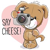 Cute cartoon Puppy with a camera on a gray background