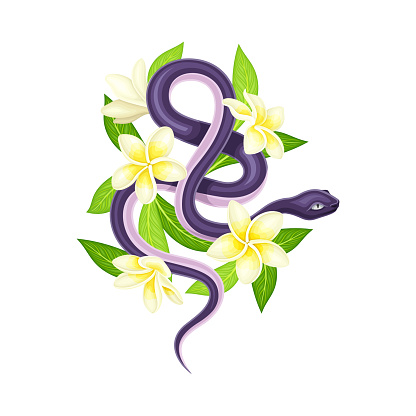 Purple nake coiled around white flowers vector illustration