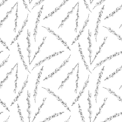 Pussy Willows Pen and Ink Drawing Seamless Pattern Vector EPS10 Illustration