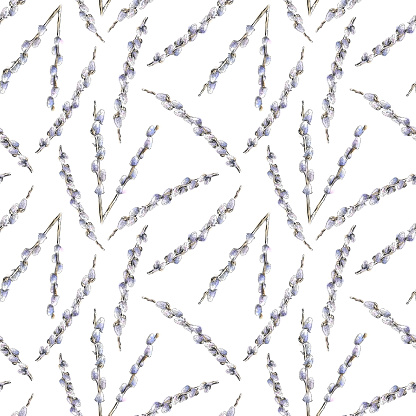 Pussywillows Branches Watercolor and Ink Seamless Pattern Vector EPS10 Illustration