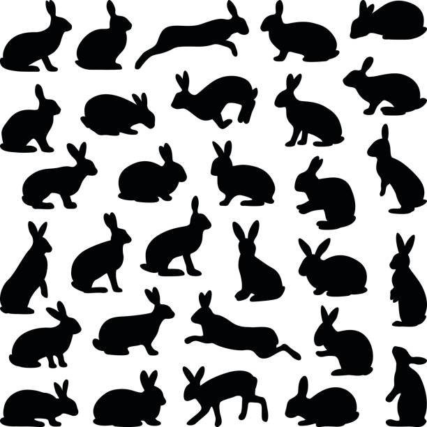 Rabbit and Hare Rabbit and Hare collection - vector silhouette rabbit stock illustrations