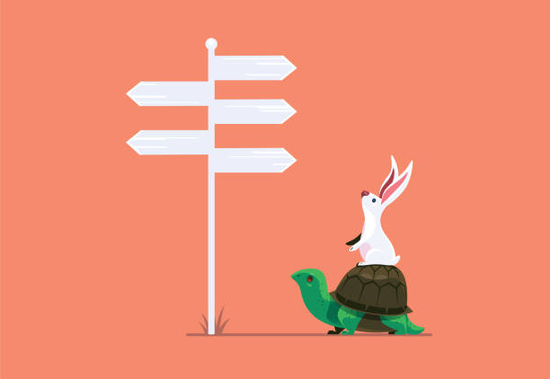 rabbit and tortoise finding direction vector illustration of rabbit and tortoise finding direction turtle stock illustrations