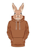 istock Rabbit in a brown sweatshirt or hoodie. 1325851323