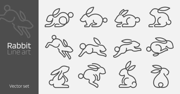 Rabbit line art vector set Rabbit continuous line art vector illustration. Mono linear design style rabbit stock illustrations