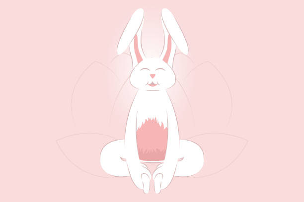 illustrazioni stock, clip art, cartoni animati e icone di tendenza di coniglio che pratica yoga baddha konasana bound angle pose - baddha konasana