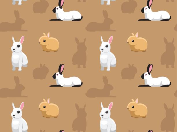 bildbanksillustrationer, clip art samt tecknat material och ikoner med kanin tapet 4 - dwarf rabbit isolated