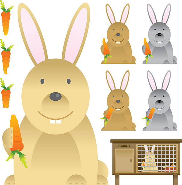 Rabbit with Carrot &amp; Hutch  rabbit hutch stock illustrations