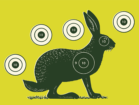 Rabbit with Five Targets Around It