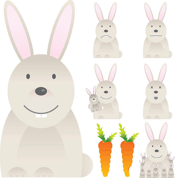 bildbanksillustrationer, clip art samt tecknat material och ikoner med rabbits &amp; carrot - dwarf rabbit isolated