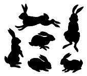 Rabbits. Set black silhouettes of hares in different poses.  Isolated on white background. Vector illustration