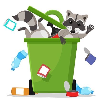 Raccoons scatter garbage from a container on a white background. Character