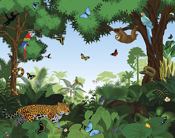 Rainforest with animals vector illustration. Rainforest with animals vector illustration. Vector Green Tropical Forest jungle with parrots, jaguar, tapir, sloth, anaconda and butterflies. tropical rainforest stock illustrations