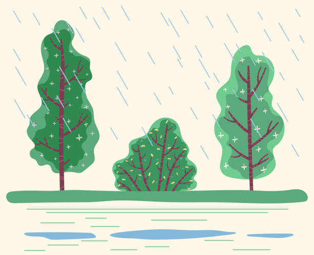 bildbanksillustrationer, clip art samt tecknat material och ikoner med regnar i skog, dåligt väder i park - svenska pengar