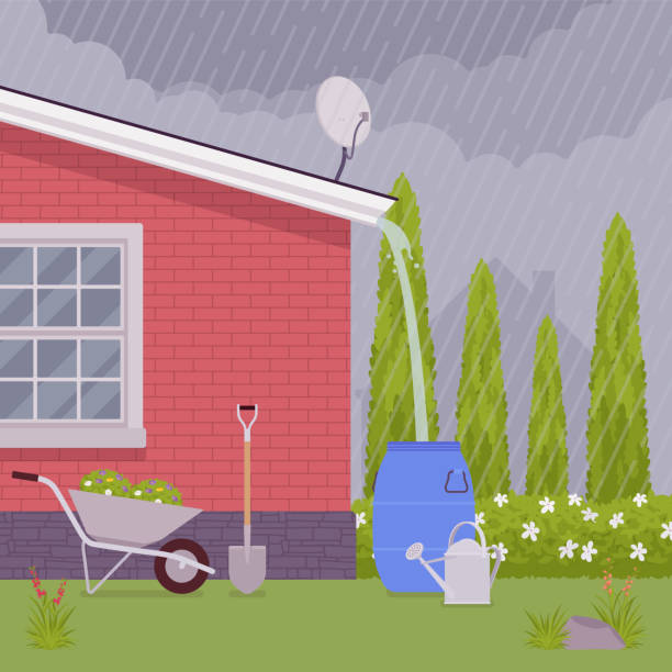 illustrations, cliparts, dessins animés et icônes de système de récolte de toit d’eau de pluie, recueillant le ruissellement de pluie dans le baril - pluie jardin